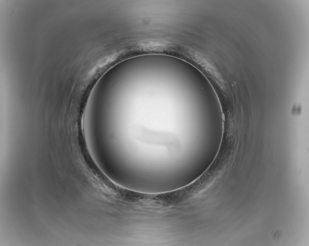 X0000092090681200709121513