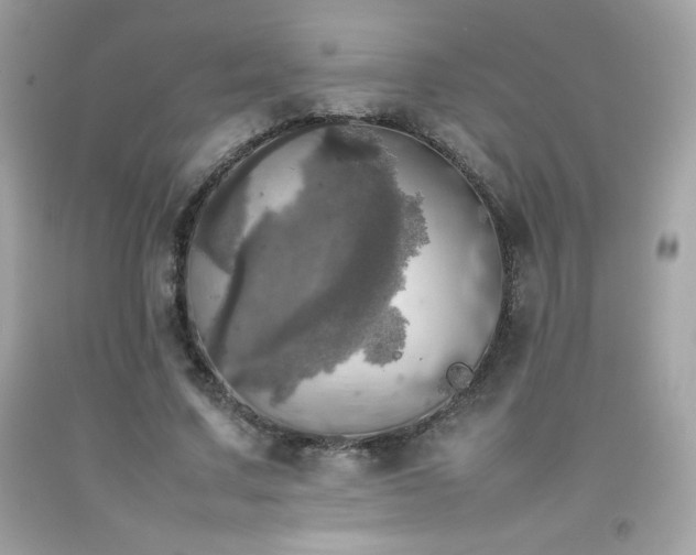 X0000092090683200709121513