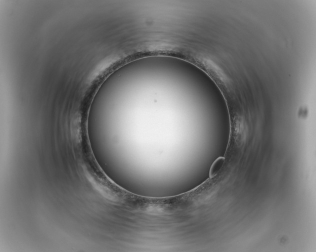 X0000092090684200709121513