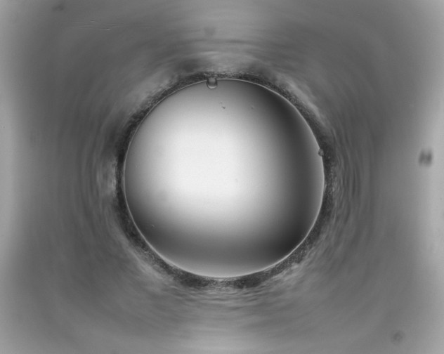 X0000092090685200709121513