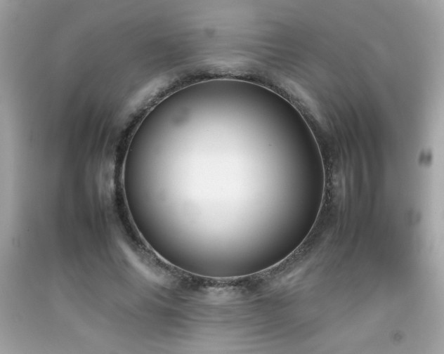 X0000092090686200709121513