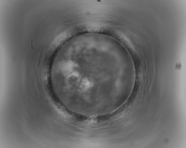 X0000092090687200709121513