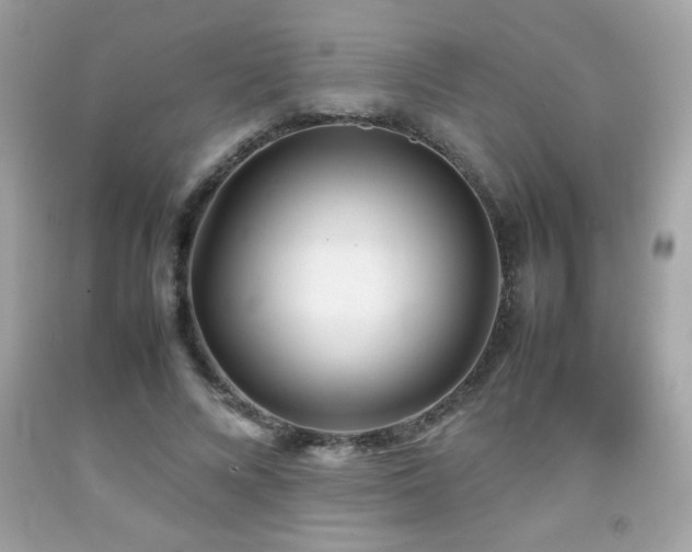 X0000092090688200709121513