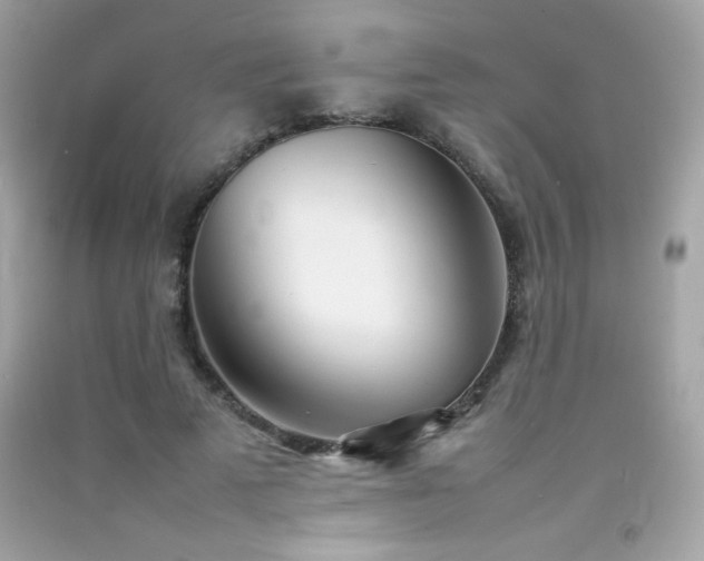 X0000092090689200709121513