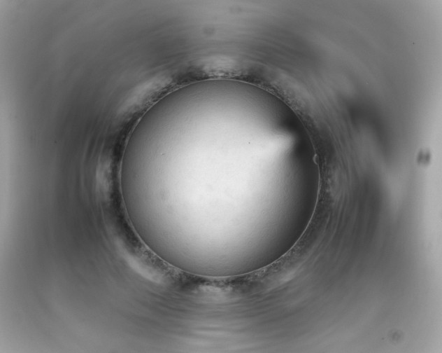 X0000092090690200709121513