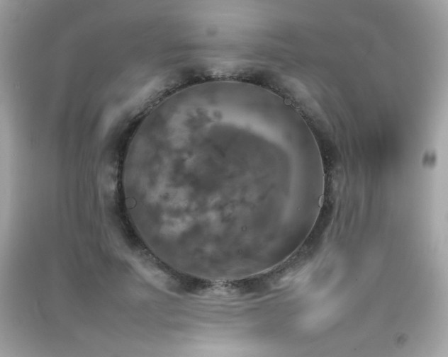 X0000092090691200709121513