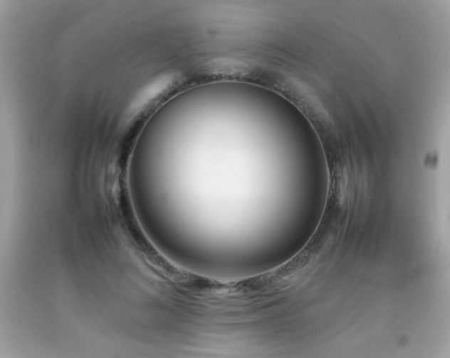 X0000092090692200709121513