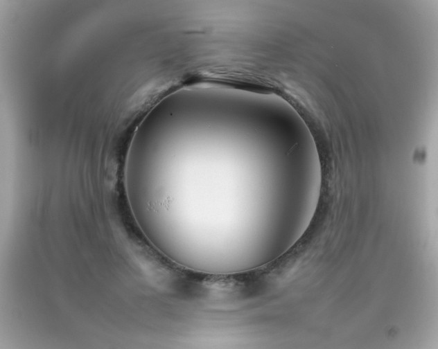X0000092090693200709121513