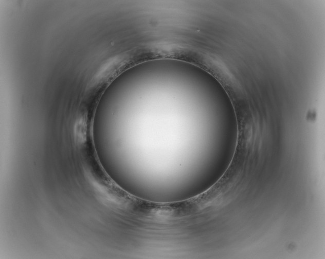 X0000092090694200709121513