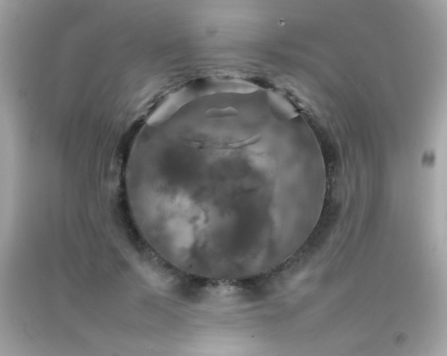 X0000092090695200709121513