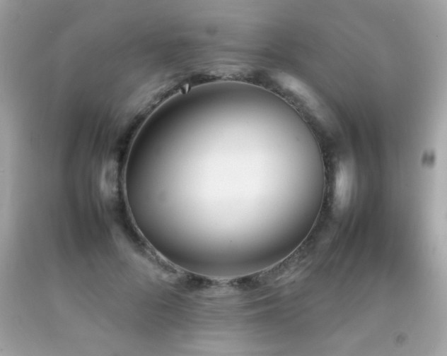 X0000092090696200709121513