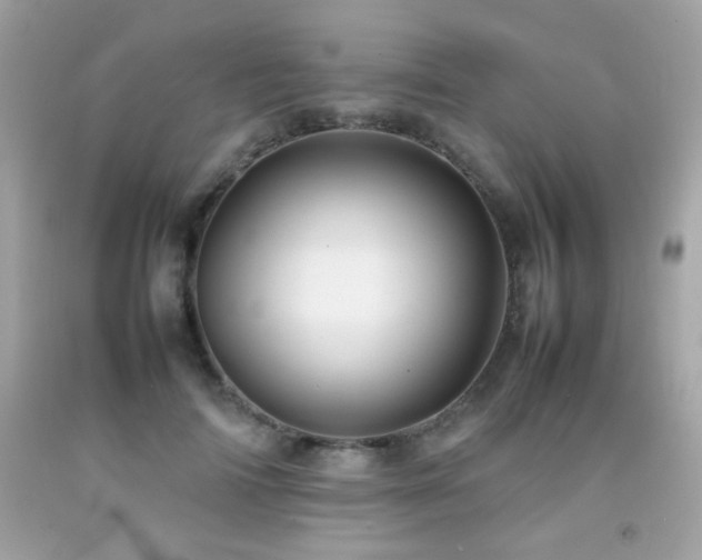 X0000092090698200709121513