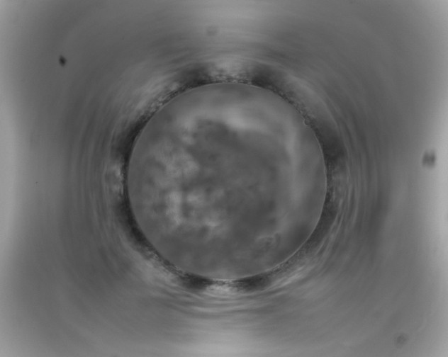 X0000092090699200709121513