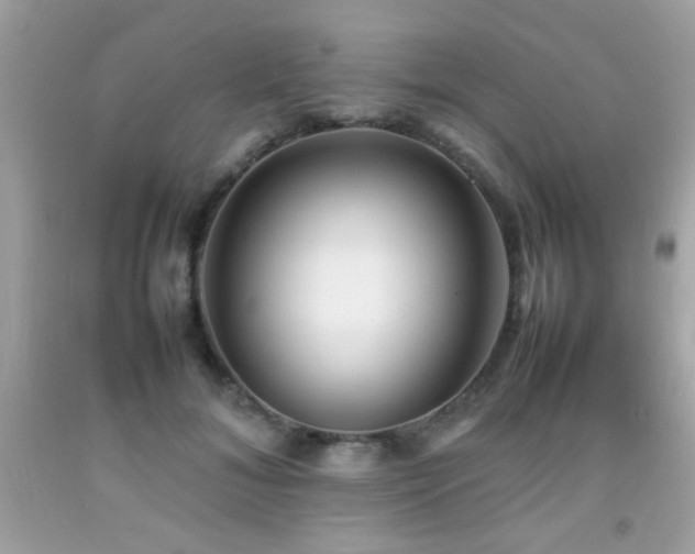X0000092090700200709121513