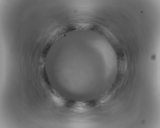 X0000092090701200709121513
