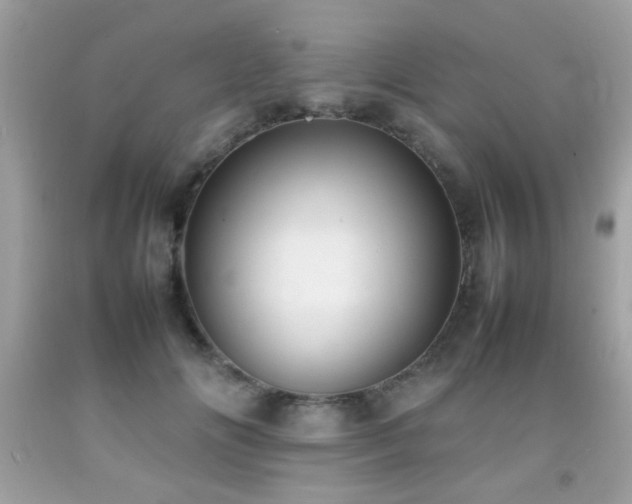 X0000092090702200709121513