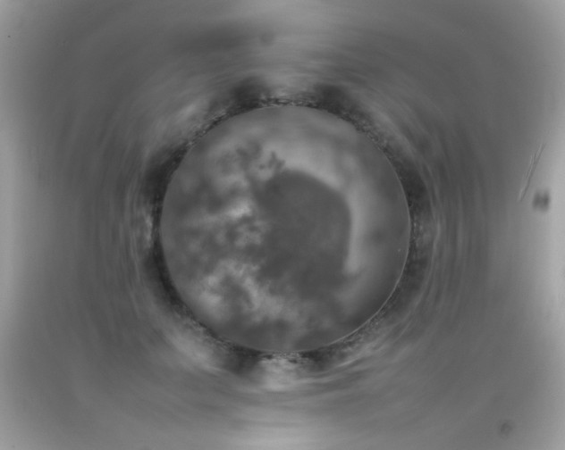 X0000092090703200709121513