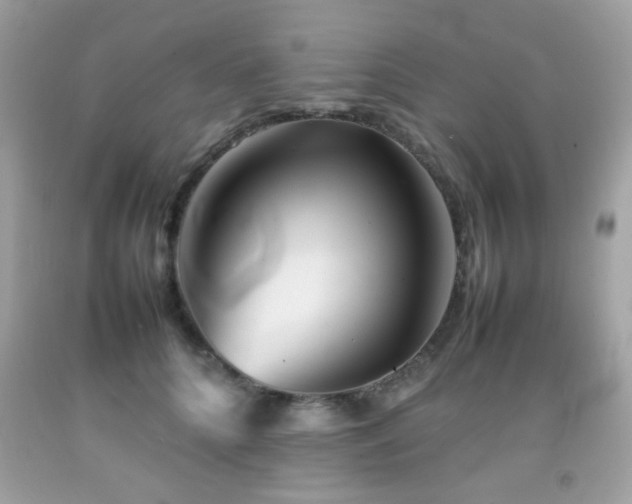 X0000092090704200709121513