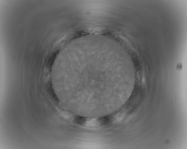 X0000092090705200709121513
