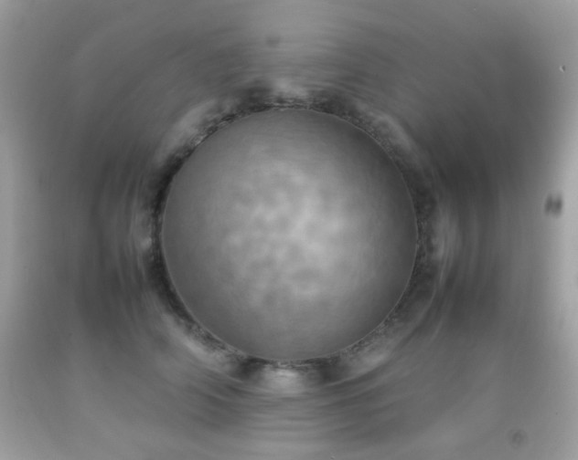 X0000092090706200709121513