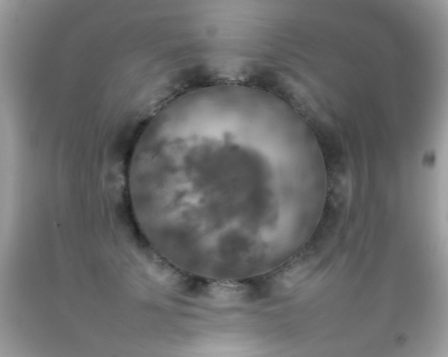 X0000092090707200709121513