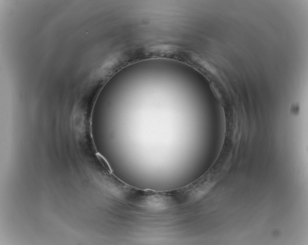 X0000092090708200709121513
