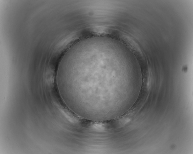X0000092090710200709121513