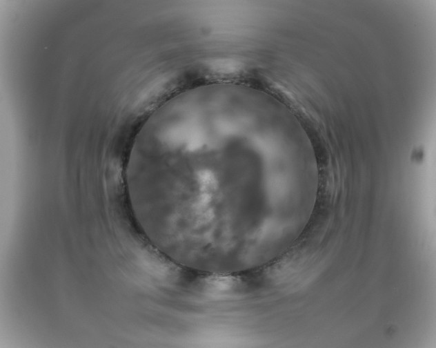 X0000092090711200709121513
