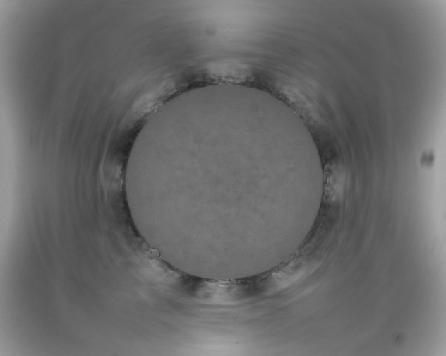 X0000092090713200709121513