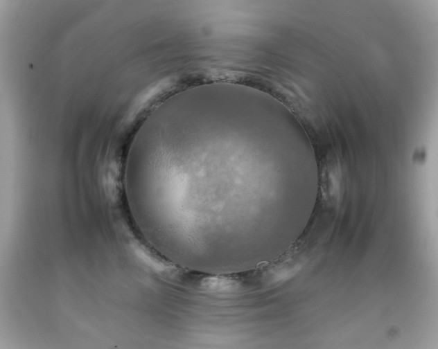 X0000092090714200709121513