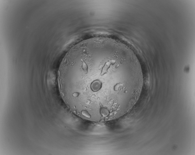 X0000092090715200709121513