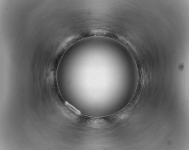 X0000092090716200709121513