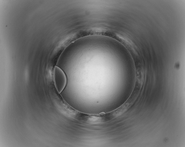 X0000092090718200709121513