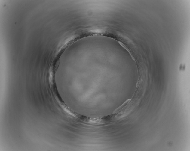 X0000092090720200709121512