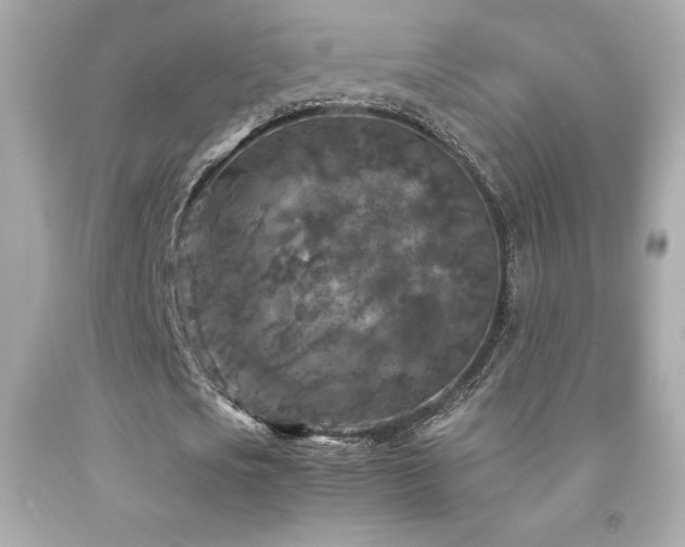 X0000092090721200709121512