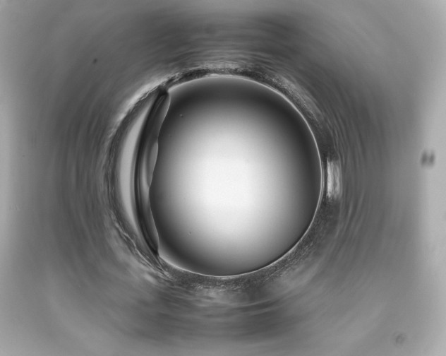 X0000092090723200709121512