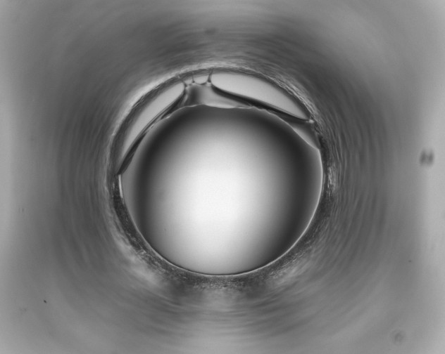 X0000092090724200709121512