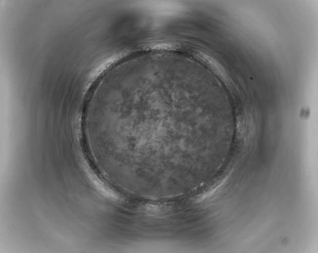 X0000092090725200709121512