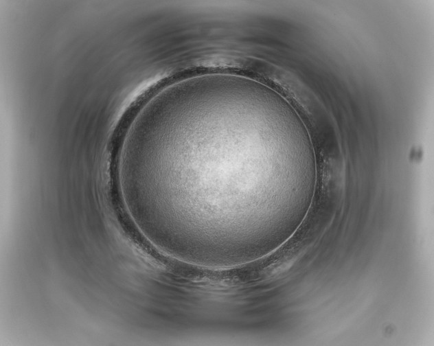 X0000092090727200709121512
