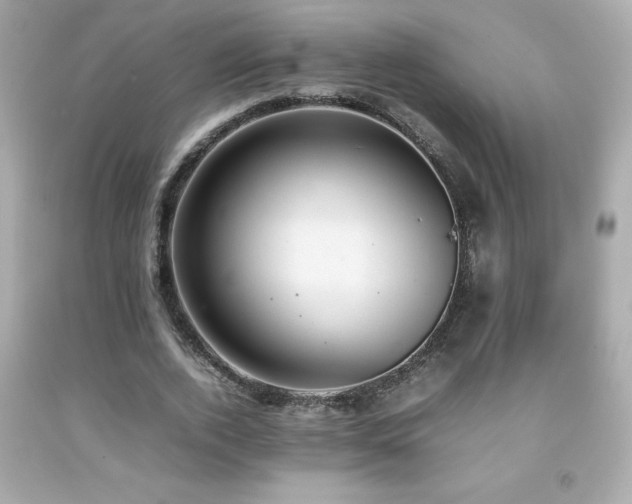 X0000092090728200709121512