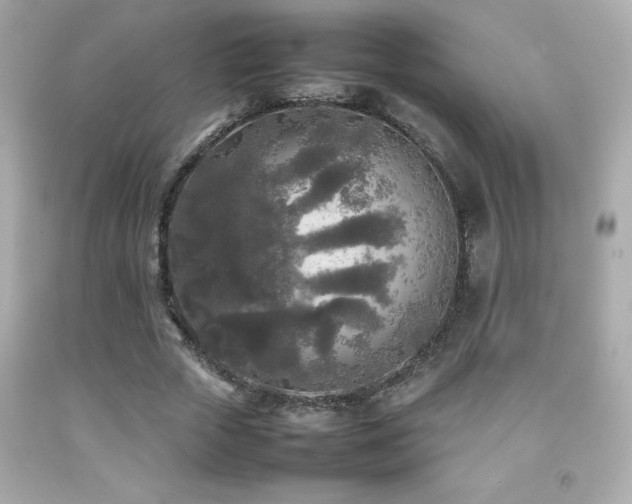 X0000092090729200709121512