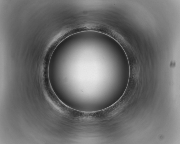 X0000092090730200709121512