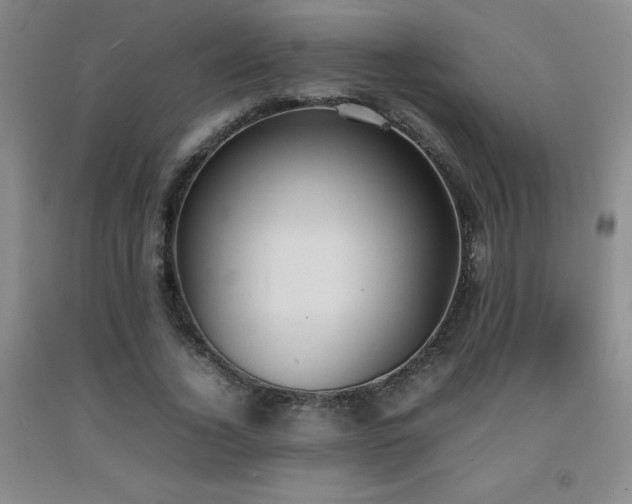 X0000092090732200709121512