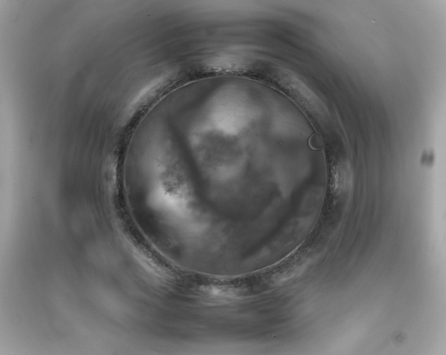 X0000092090733200709121512