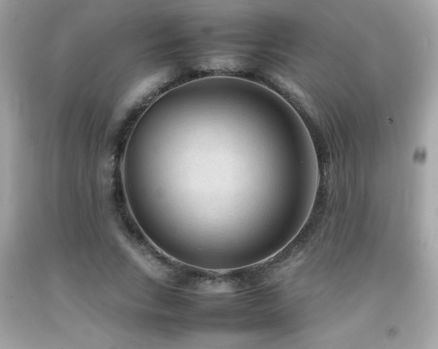 X0000092090735200709121512