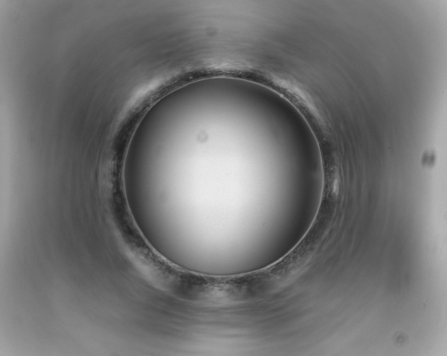 X0000092090736200709121512