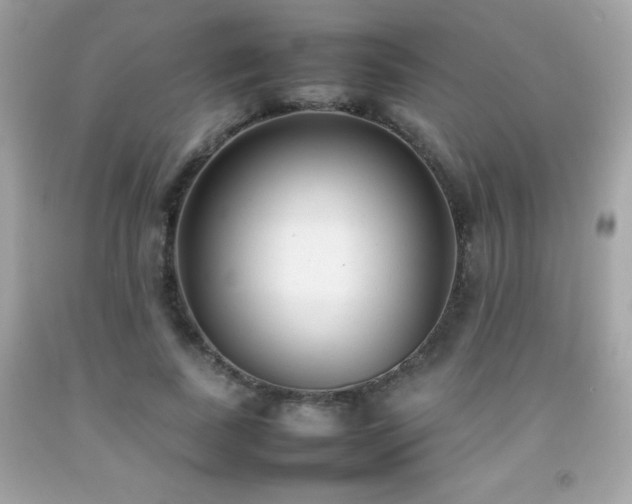 X0000092090739200709121512