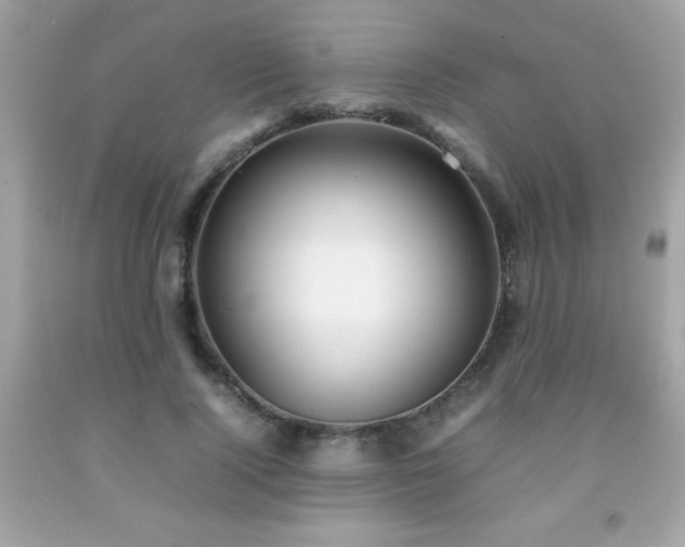 X0000092090740200709121512
