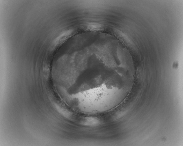 X0000092090741200709121512