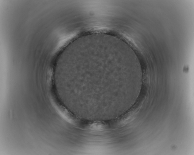 X0000092090742200709121512